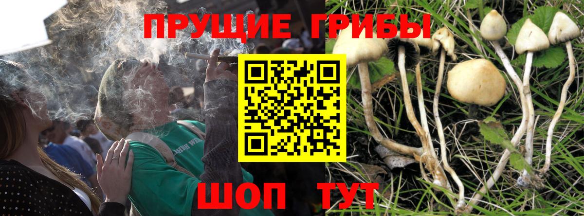 Псилоцибиновые грибы мухоморы  Вход с VPN  Волжск 